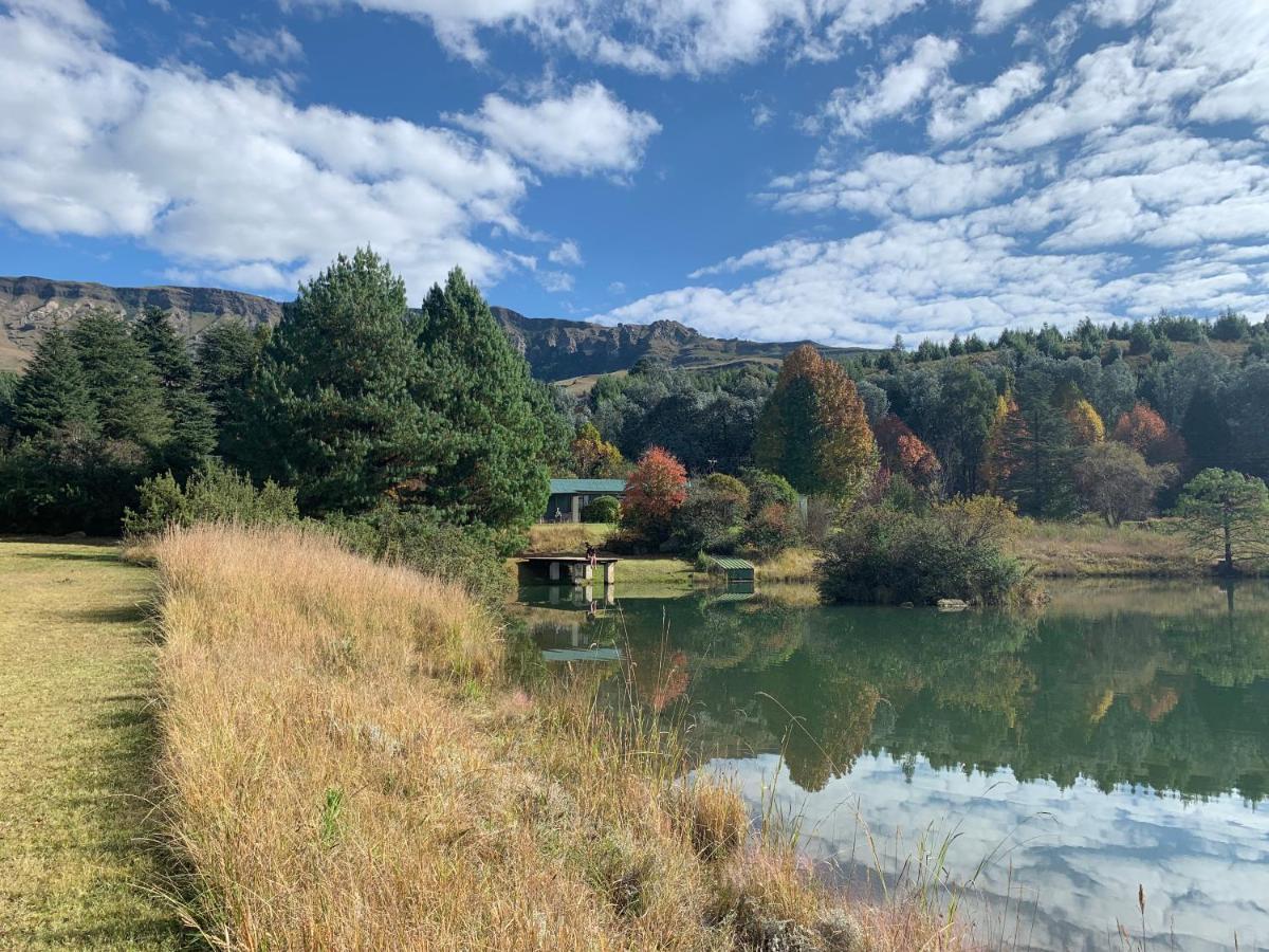 Brackenburn Trout And Trail Retreat Lejlighed Elandskop Eksteriør billede